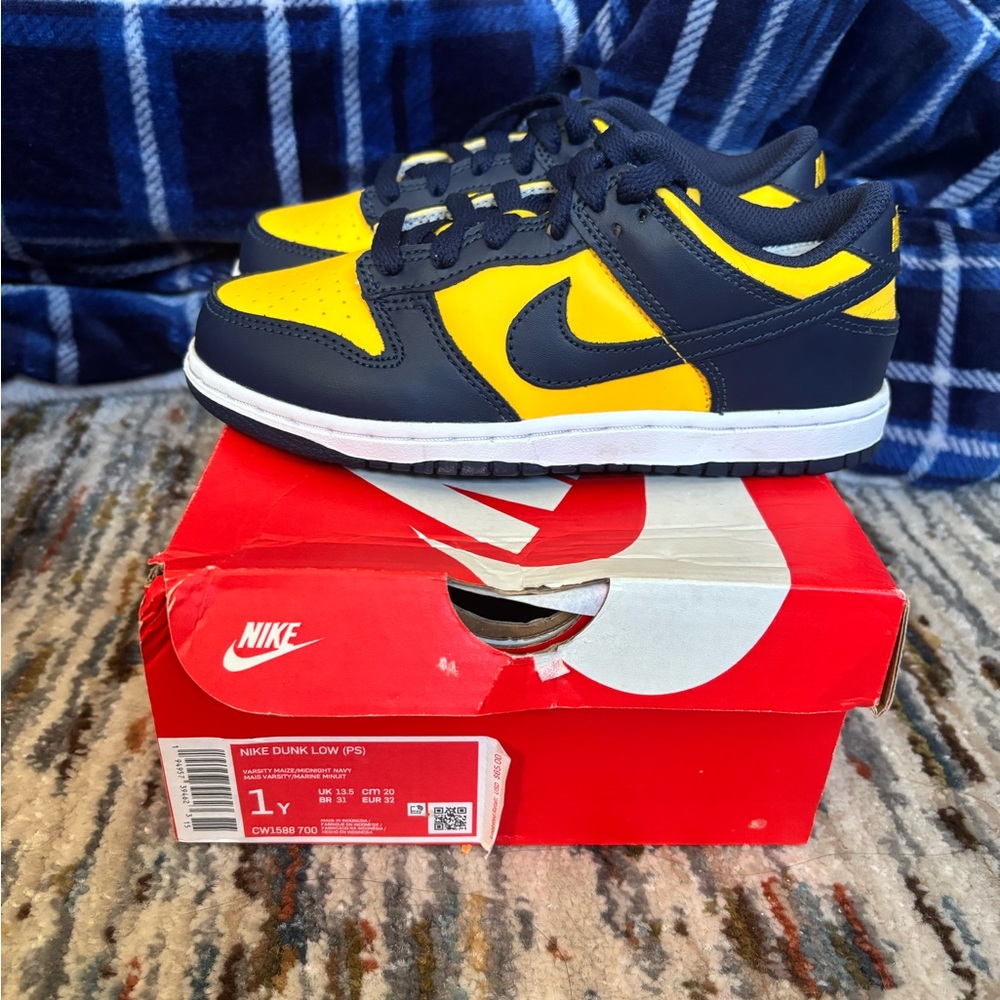 Nike Michigan Dunks